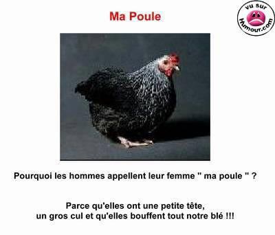 Ma poule...